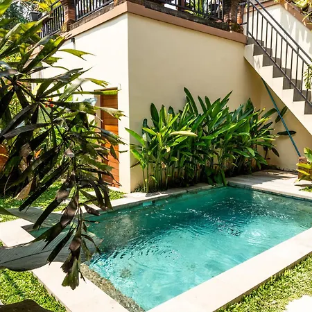Ubud Ayu